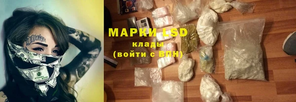гидра Покачи