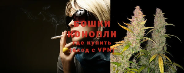 ГАЛЛЮЦИНОГЕННЫЕ ГРИБЫ Магас