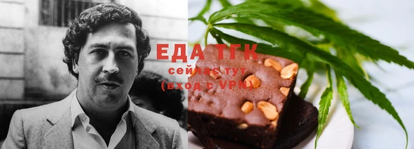 гидра Покачи