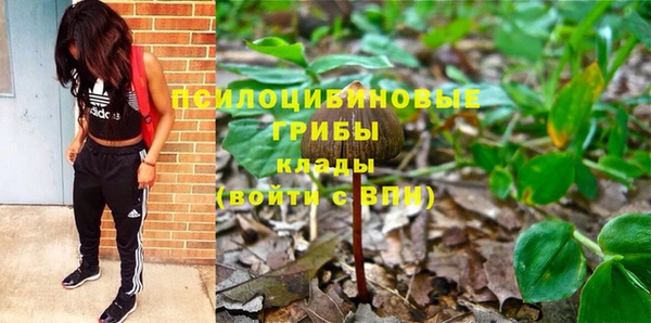 ПСИЛОЦИБИНОВЫЕ ГРИБЫ Покровск
