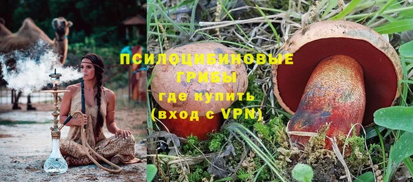 гидра Покачи