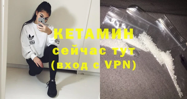 гидра Покачи