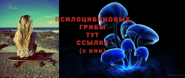 гидра Покачи