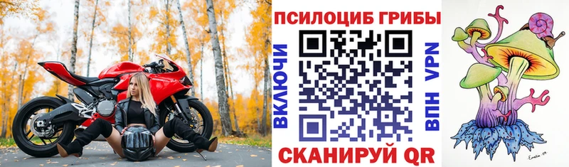 закладки  мега как войти  Псилоцибиновые грибы GOLDEN TEACHER  Лосино-Петровский 