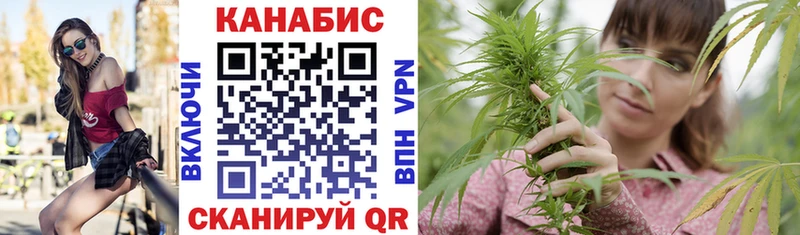 Марихуана сатива  где купить наркоту  Лосино-Петровский 